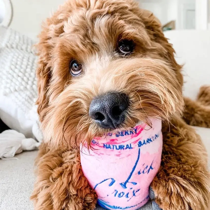Get Ready to Wag Your Tail: The Best New Haute Diggity Dog Toys!